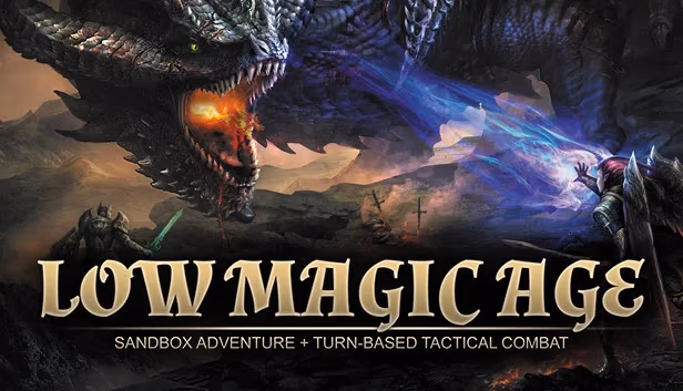 Cover image for Low Magic Age